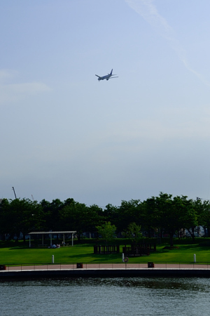 公園から