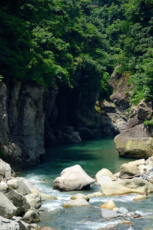 手取の流れ