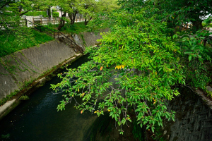 福岡にて