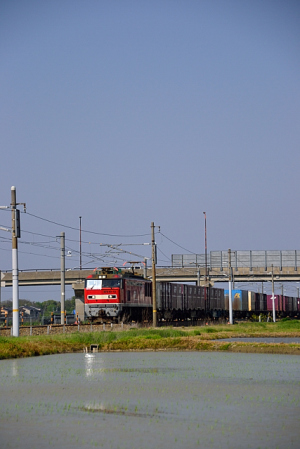 貨物列車だ!!