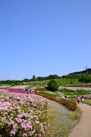 初夏の陽気に誘われて