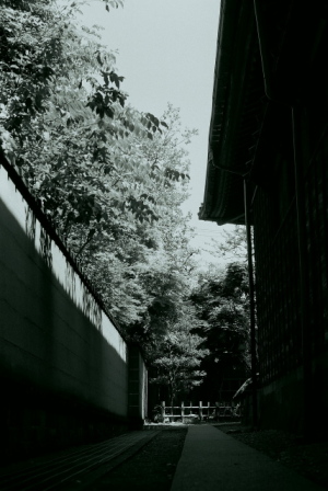 金沢寺町 忍者寺の裏路地