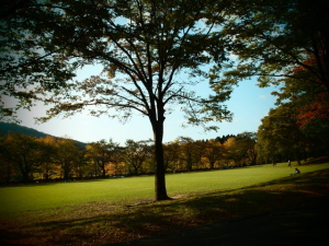 石川県林業試験場 樹木公園