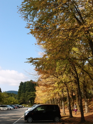 秋はすぐそこ
