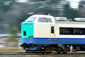R編成『北越3号』の横顔