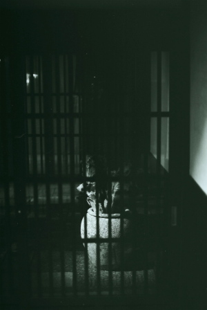 Spot Light