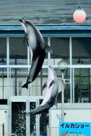 タンデムジャンプ