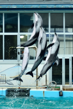 高いっ!!
