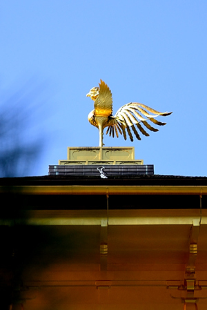鳳凰