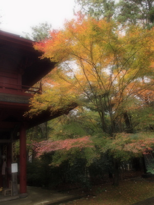 朱に紅葉