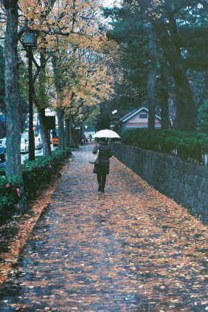 落葉の歩道