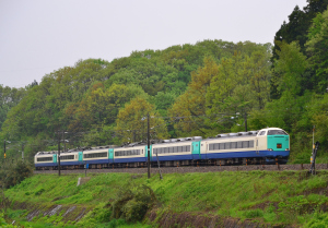 想い出色の電車-485系R編成