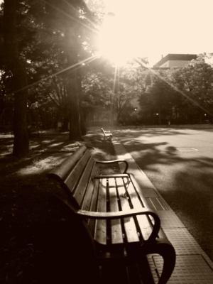 公園の夕景